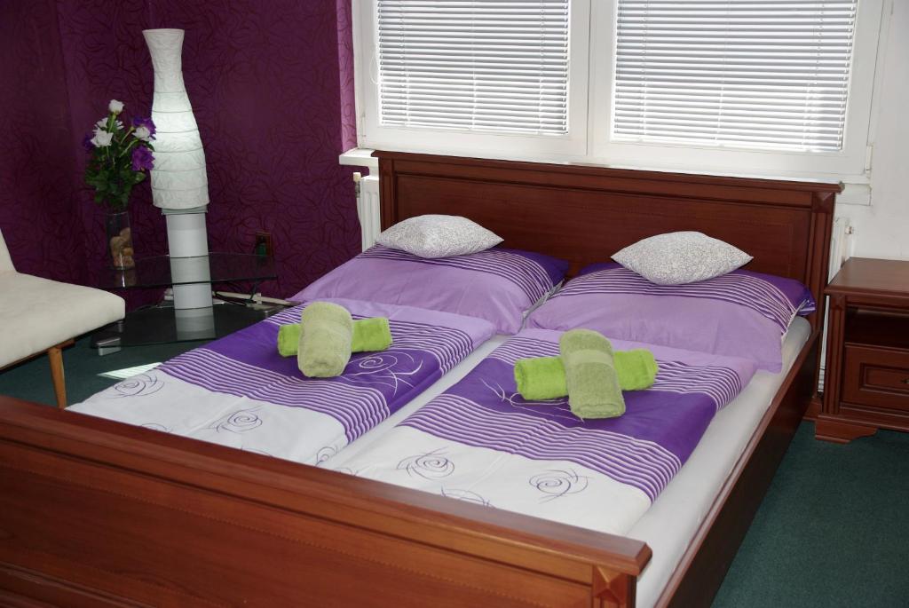 Voodi või voodid majutusasutuse Hostel Humpolec toas