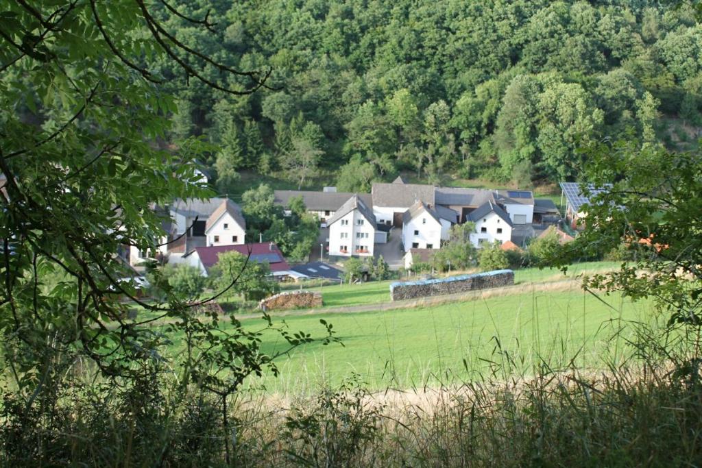 un grupo de casas en un campo verde con árboles en Ferienhaus im Nürburgring en Herschbroich