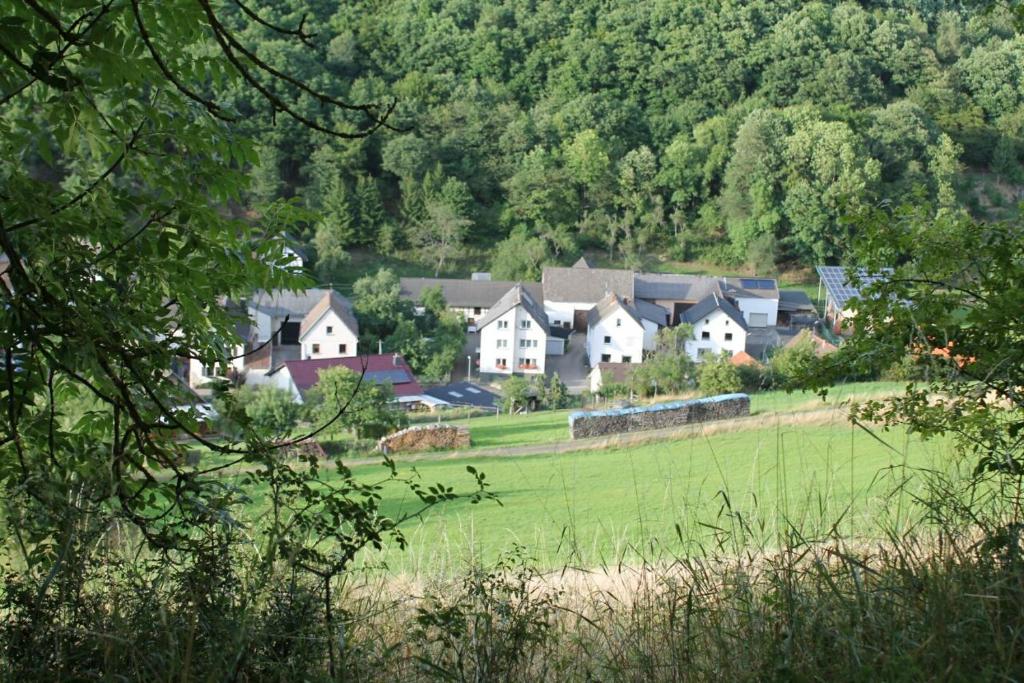 a group of houses in a green field with trees at Ferienhaus im Nürburgring in Herschbroich