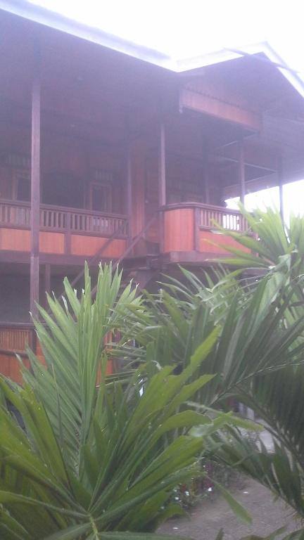 um grupo de palmeiras em frente a um edifício em Sunset Guest House & Bar em Bunaken