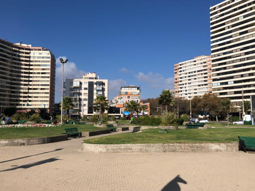 a shadow of a person walking in a park at Departamento 8 Norte, Torre del Mar in Viña del Mar