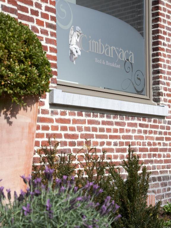 Jízda na kole v ubytování B&B Cimbarsaca nebo okolí