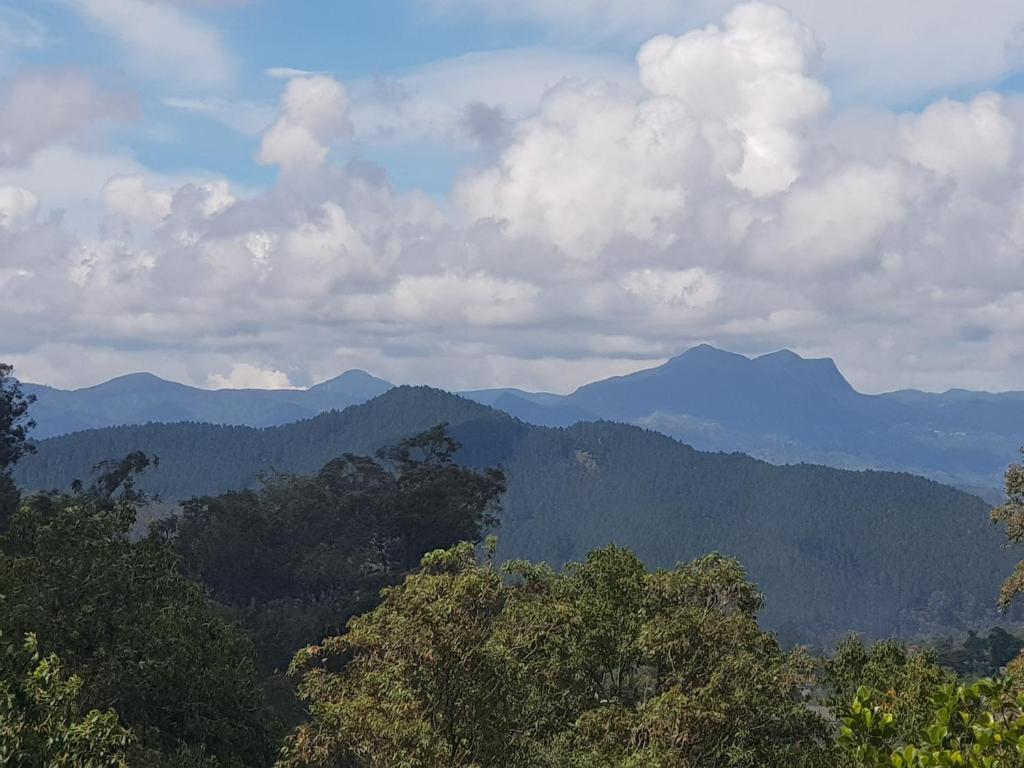 a view of a mountain range with trees in the foreground at The Grand Bandarawela in Bandarawela