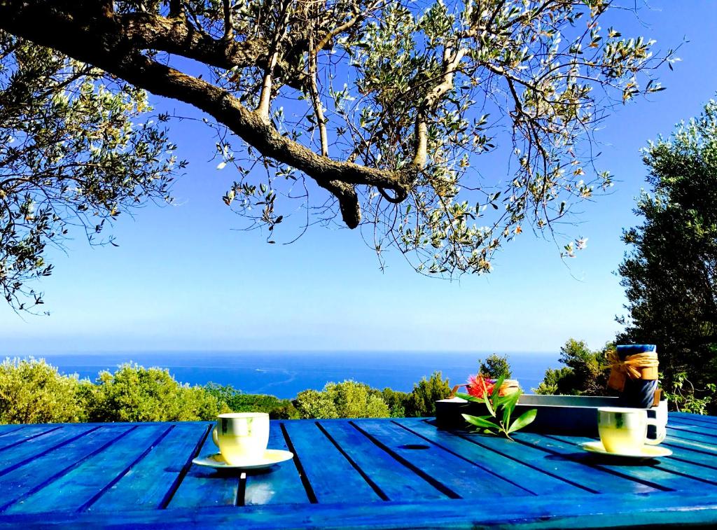 パリヌーロにあるIl Caprarizzoの青いテーブル(2杯の花付)