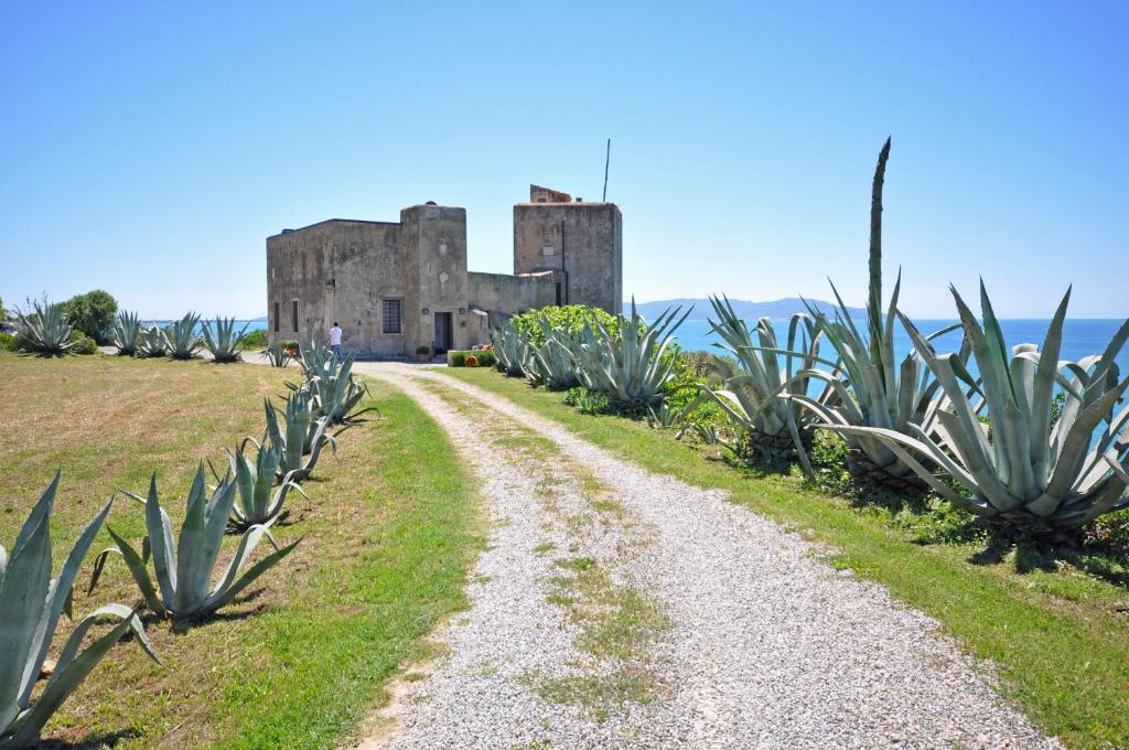 a dirt road leading to an old castle with cactus at Presidio by PosarelliVillas in Fonteblanda