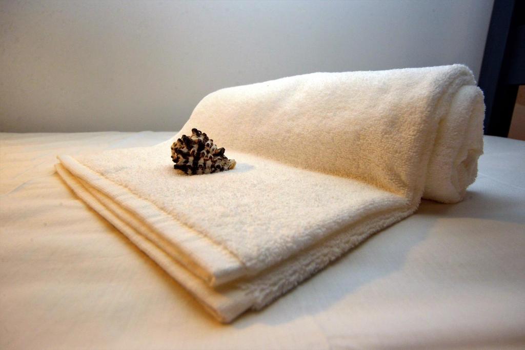 Son of a Beach Hostel - 11