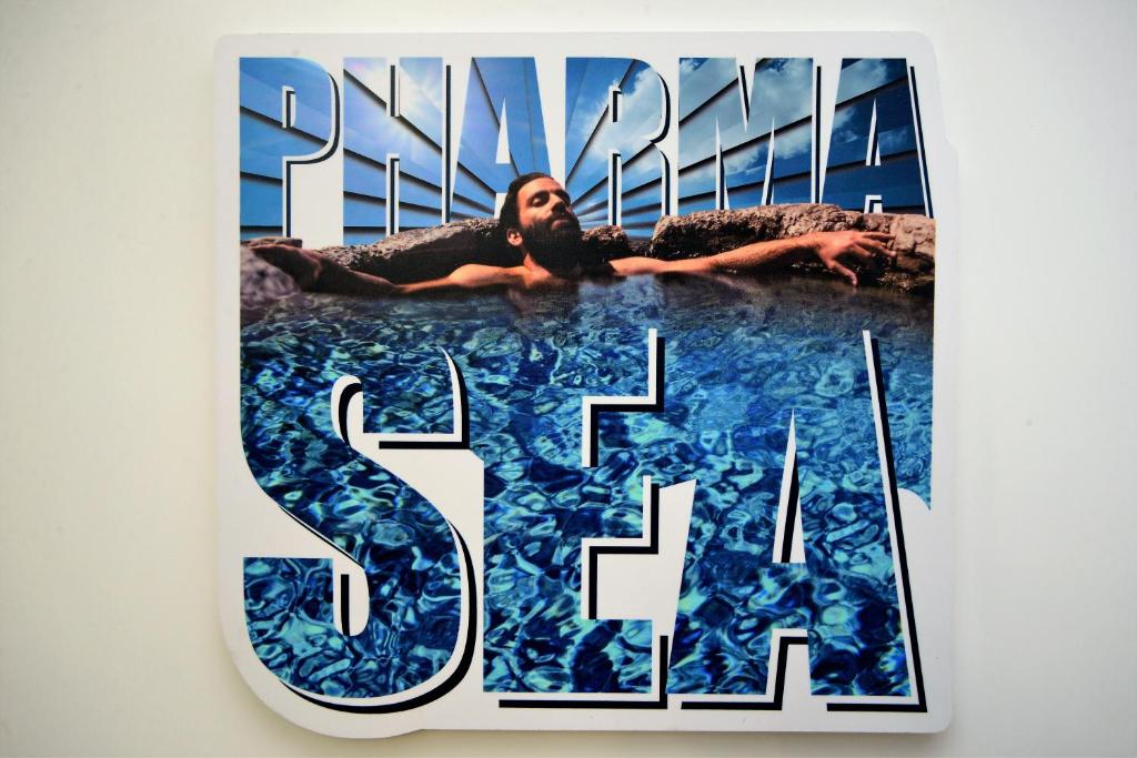 Son of a Beach Hostel - 19