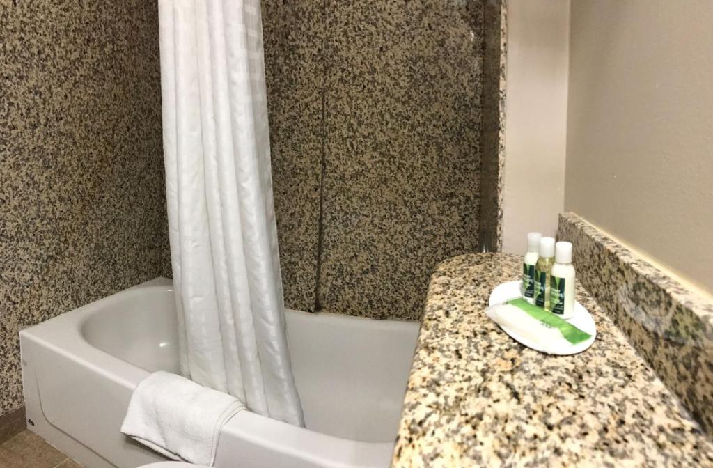A bathroom at red maple inn and suites