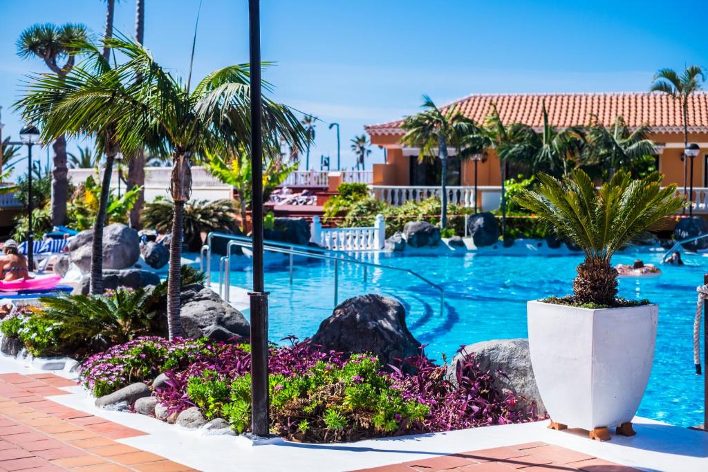 プラヤ・デ・ラス・アメリカスにあるComplejo Tenerife Royal Gardenのヤシの木と花が咲くリゾートのプールを利用できます。