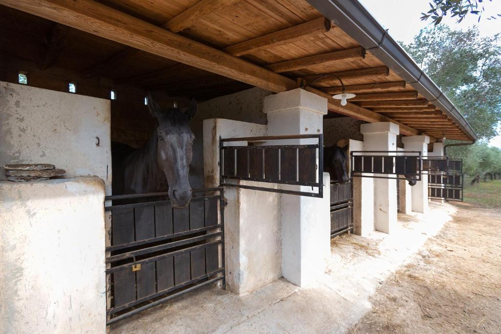 Fotografie z fotogalerie ubytování Casale del Forno v destinaci Andrano