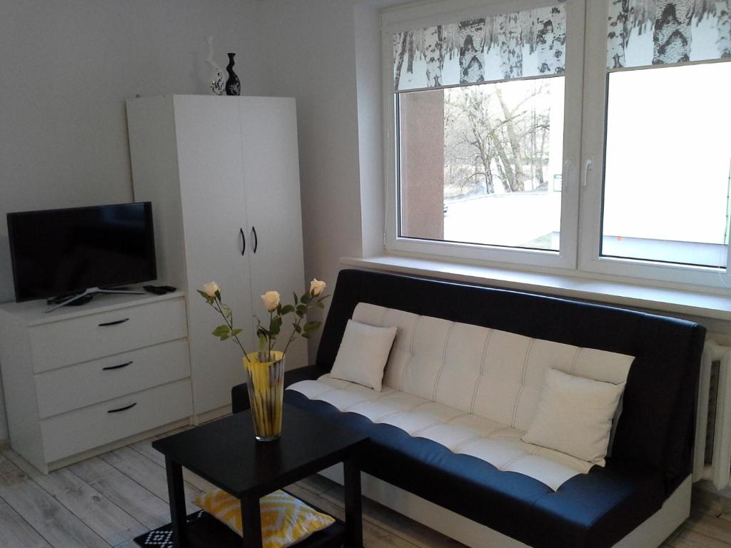 ein Wohnzimmer mit einem Sofa und einem Tisch in der Unterkunft Lima Studio in Druskininkai