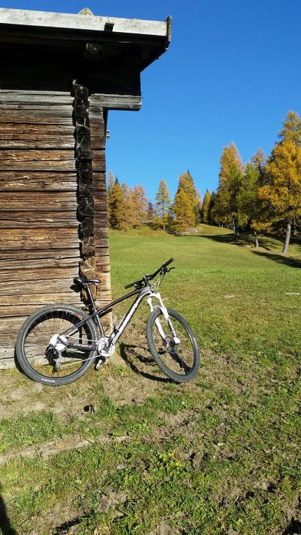 Jízda na kole v ubytování Gasthaus Vinaders nebo okolí