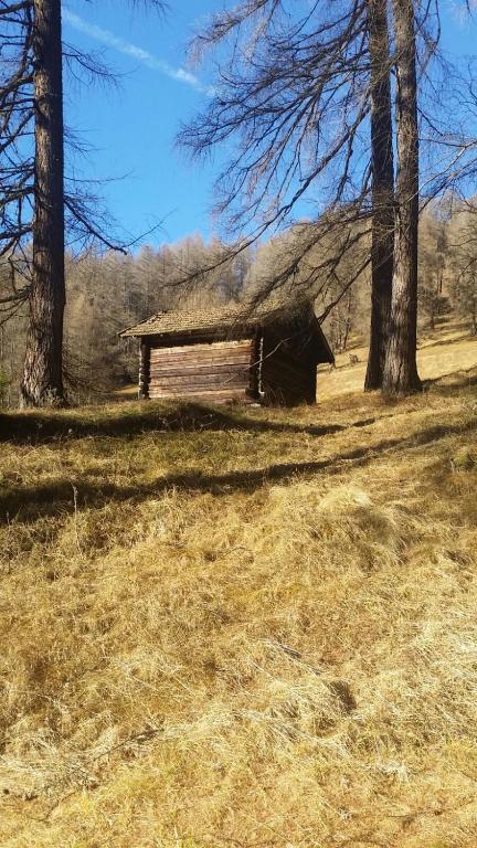 Příroda nedaleko penzionu – hostince