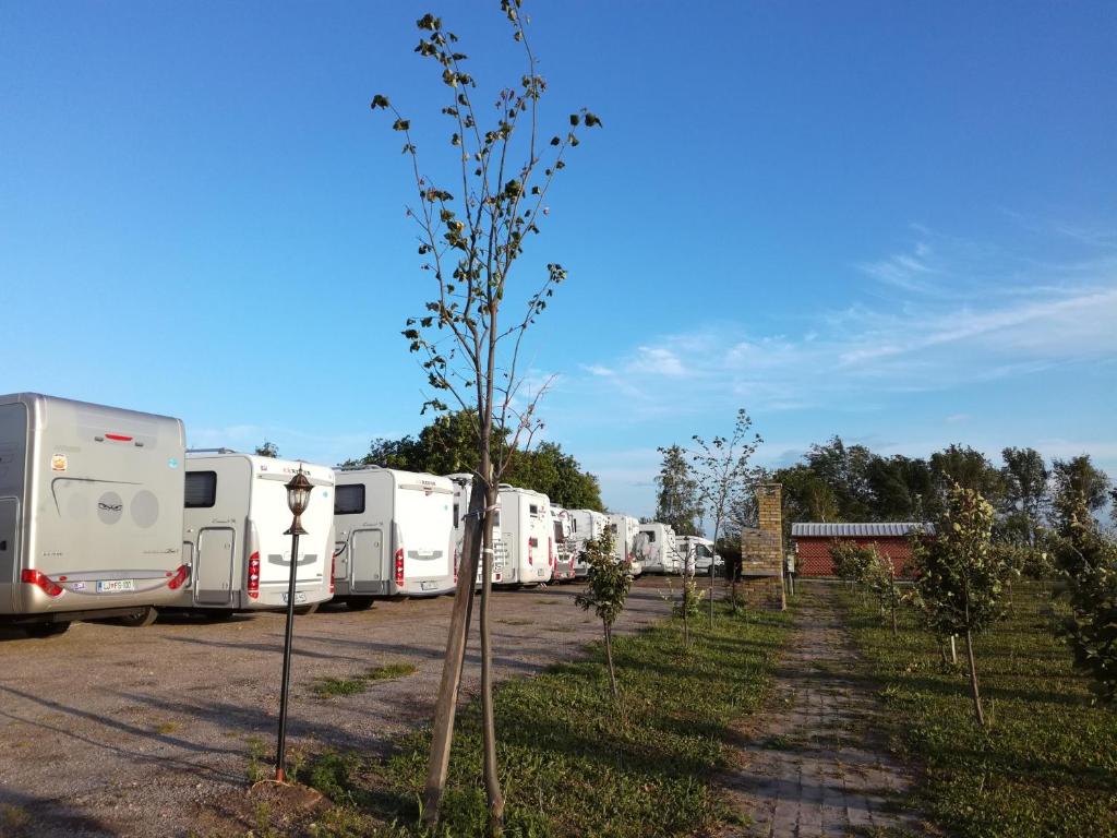 a row of rvs parked in a parking lot at Camp Salaš Farma 47 Čenej in Čenej