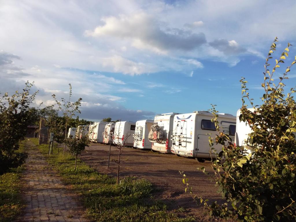 Fotografie z fotogalerie ubytování Camp Salaš Farma 47 Čenej v destinaci Čenej