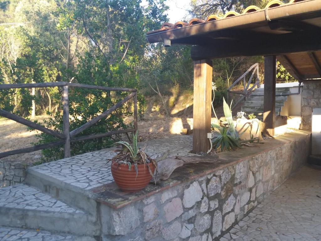 Zahrada ubytování Villa Timothy