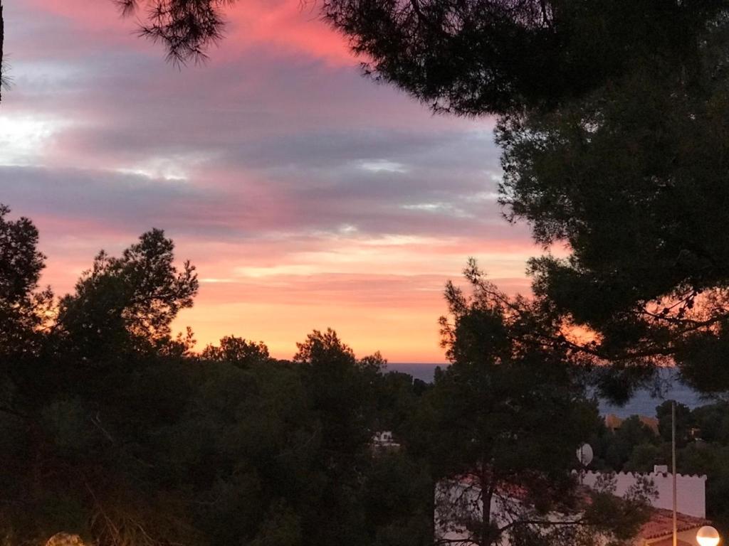 a sunset over the ocean with trees in the foreground at Cala Azul 304-306 Tamarit in Tamarit