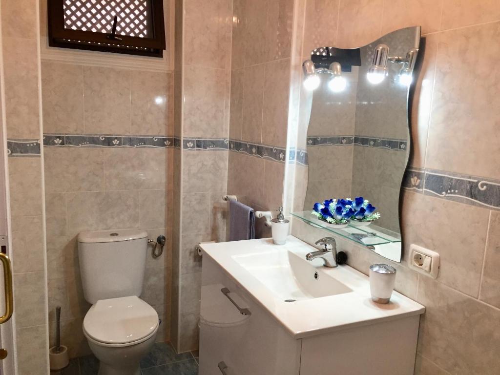 a bathroom with a toilet and a sink and a mirror at Ocean View Apartment in Palm-mar