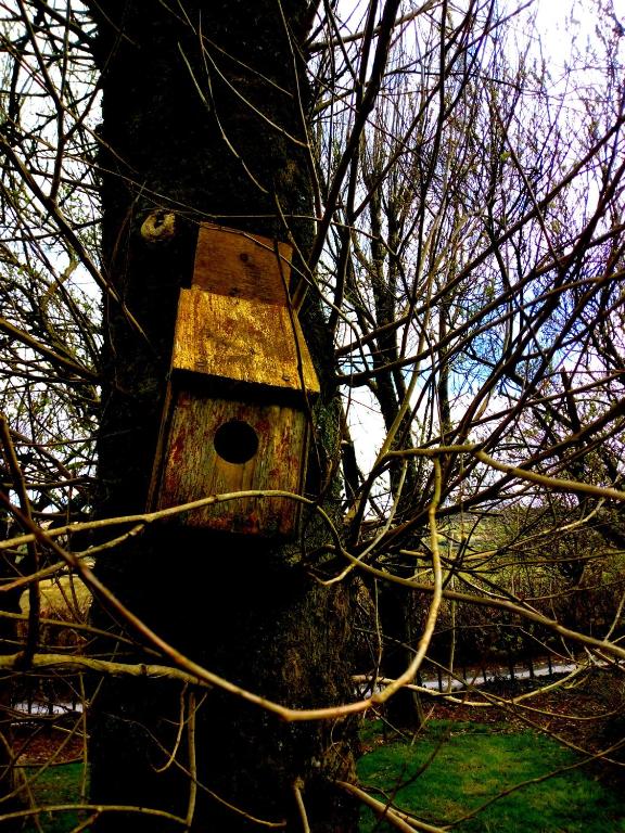 5 hotel in Cork 5 hotel in Cork