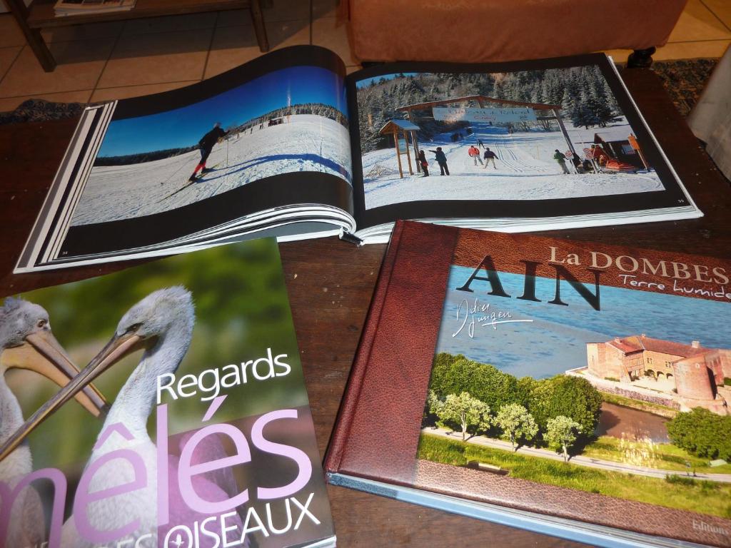 Fotografie z fotogalerie ubytování Lac'Hotel France v destinaci Montréal La Cluse