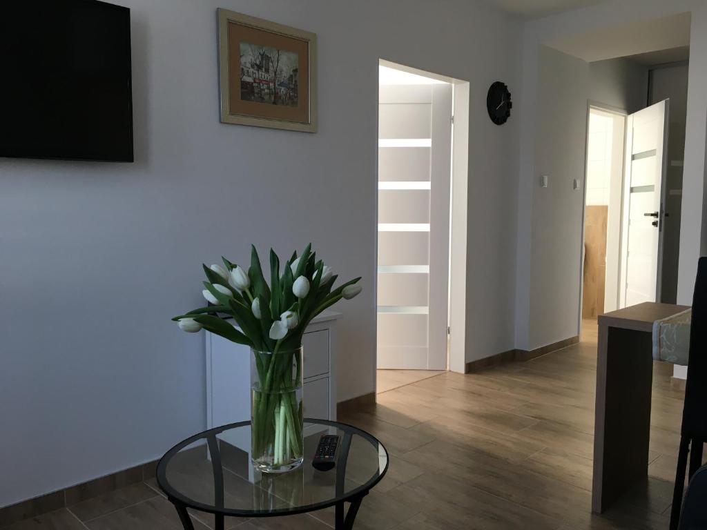 Apartamenty AP 8 - 5