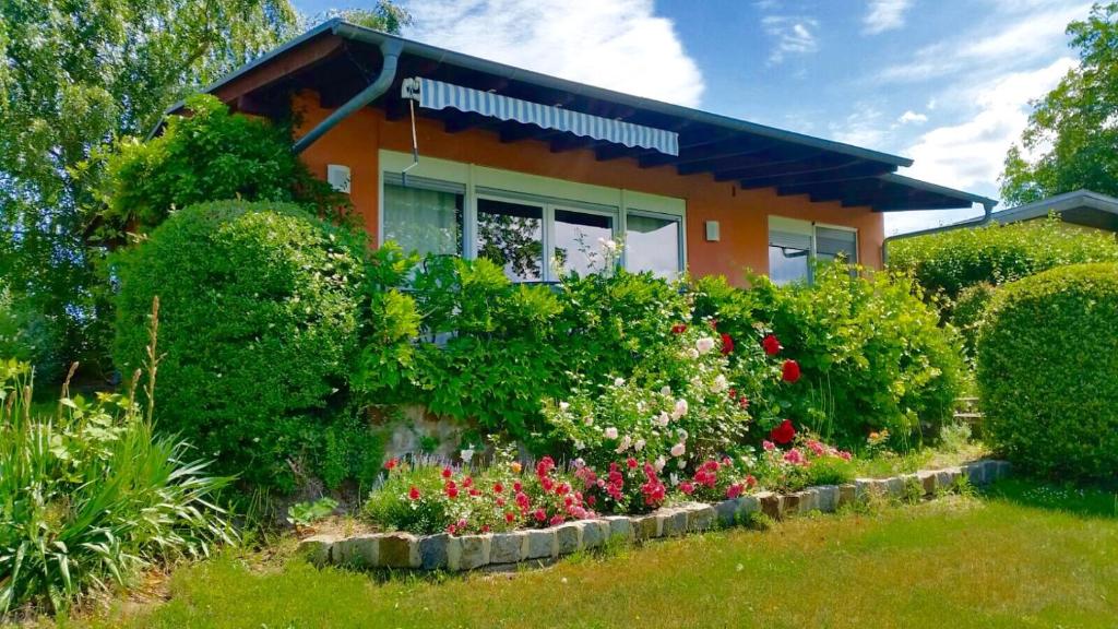 une maison avec des buissons et des fleurs devant elle dans l'établissement Ferienhaus am Glindower See, à Petzow