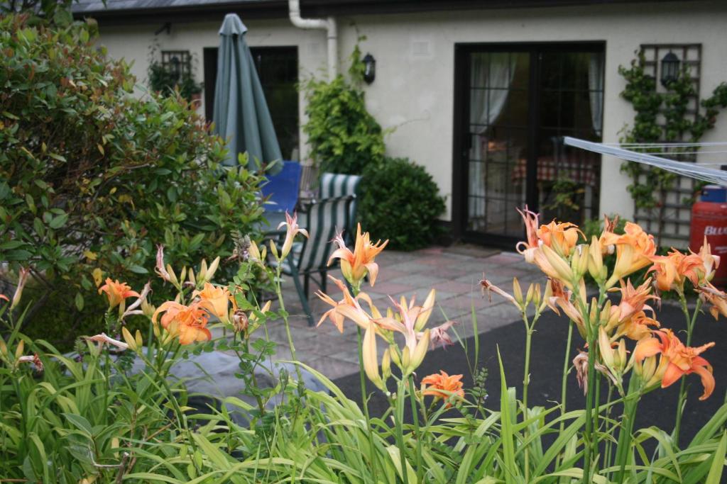 Zahrada ubytování Dunaree Bed and Breakfast