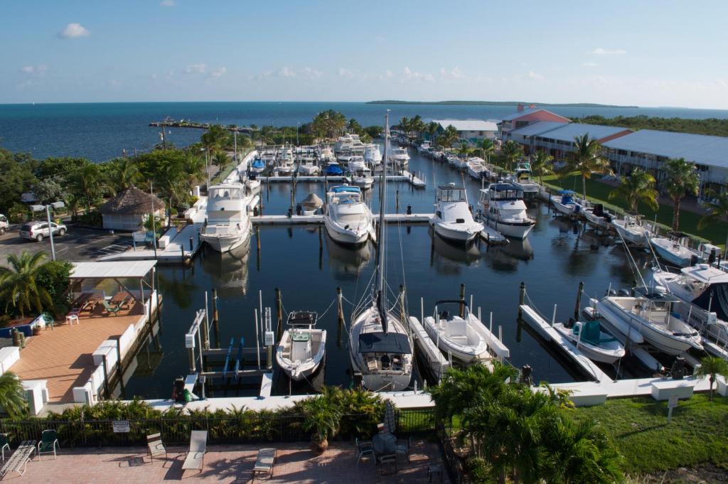 a group of boats docked in a marina at Kawama Yacht Club Apartment in Key Largo