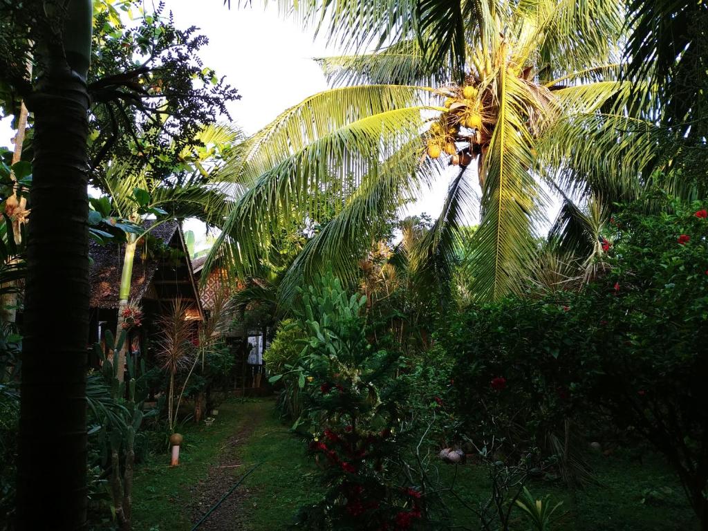 Zahrada ubytování Reggae Guesthouse