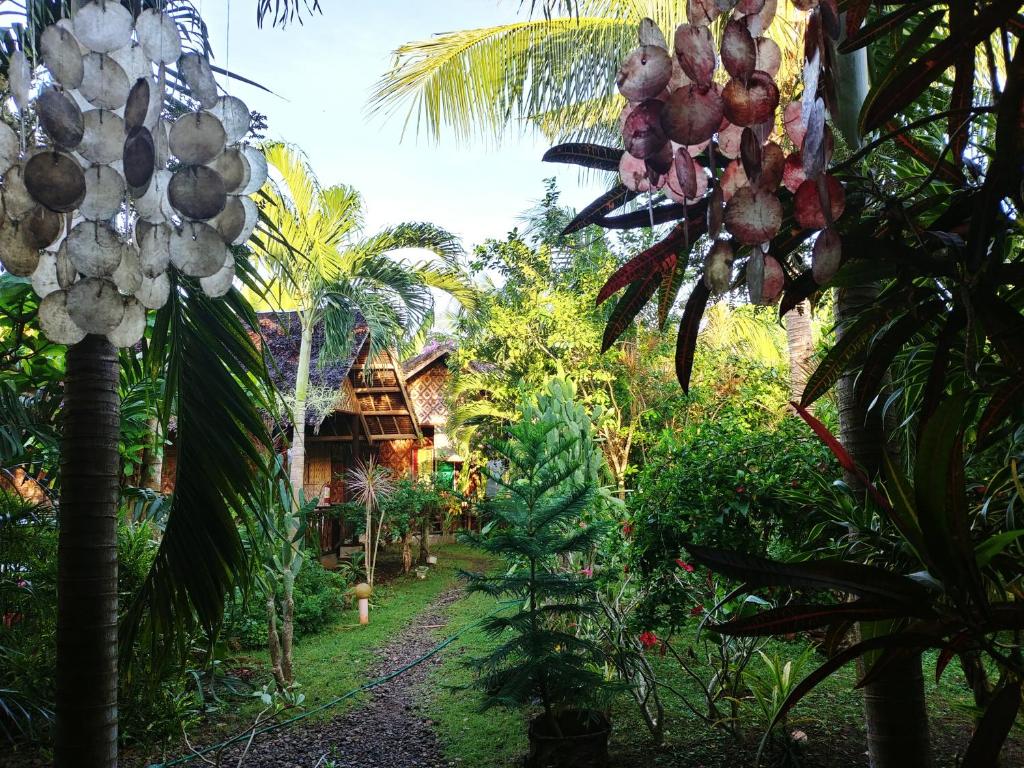 Zahrada ubytování Reggae Guesthouse