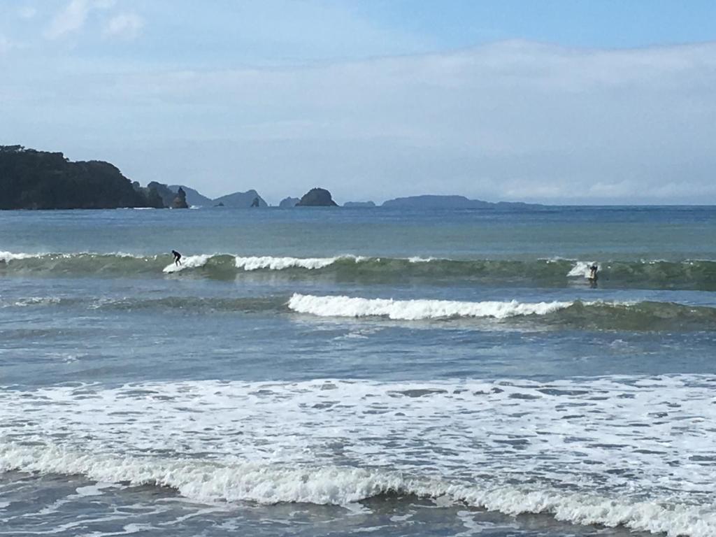 Waterfront Apartments Whitianga - Resim 13