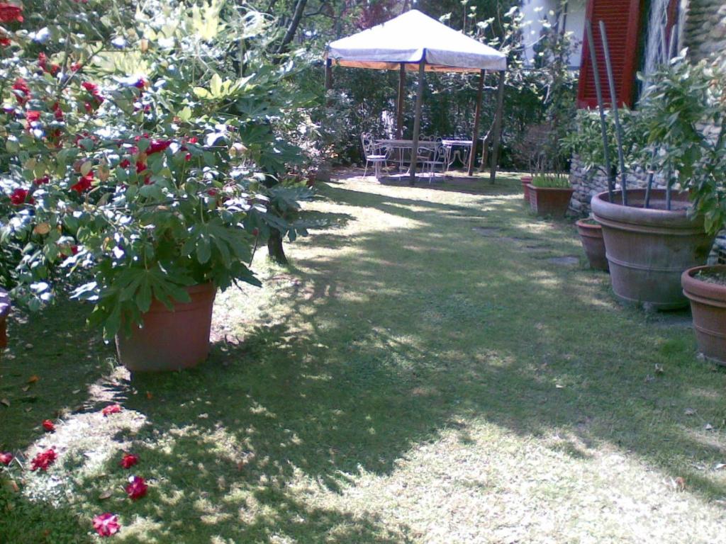 A garden outside Villa Feltran
