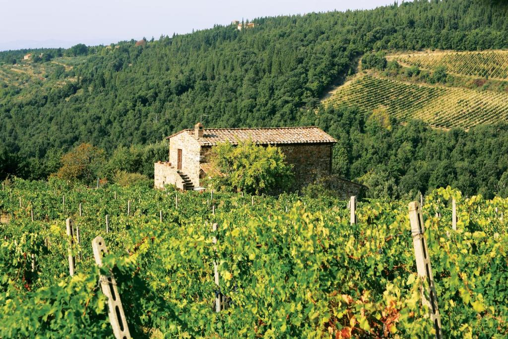 an old building in the middle of a vineyard at Agriturismo Piemaggino in Castellina in Chianti