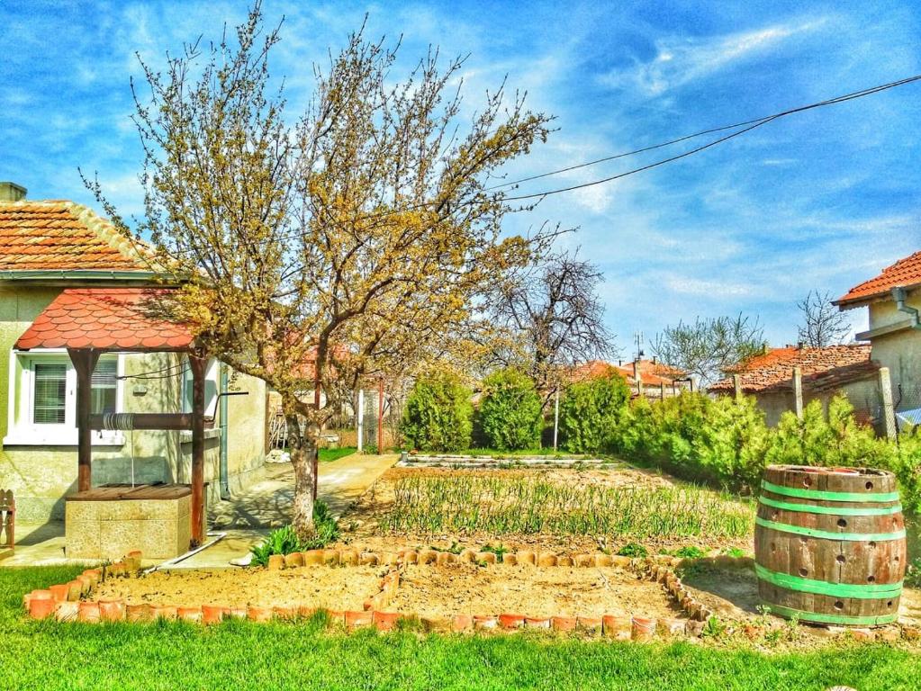 Zahrada ubytování Guest House Dimi