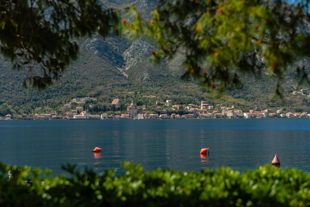 Paesaggio naturale nelle vicinanze dell'appartamento