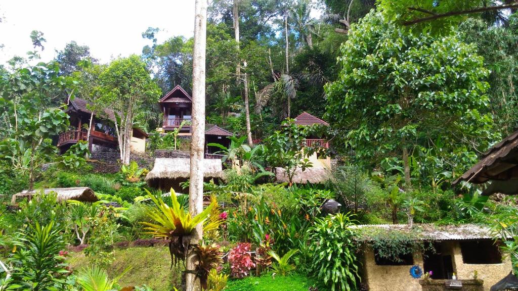 Zahrada ubytování Bali Jungle Resort