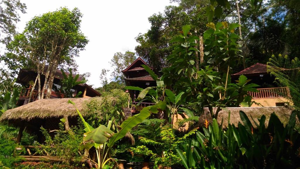 Zahrada ubytování Bali Jungle Resort