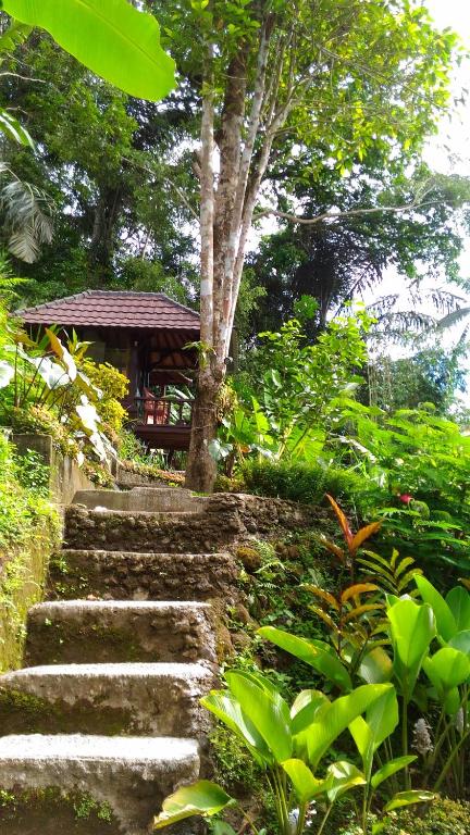 Zahrada ubytování Bali Jungle Resort