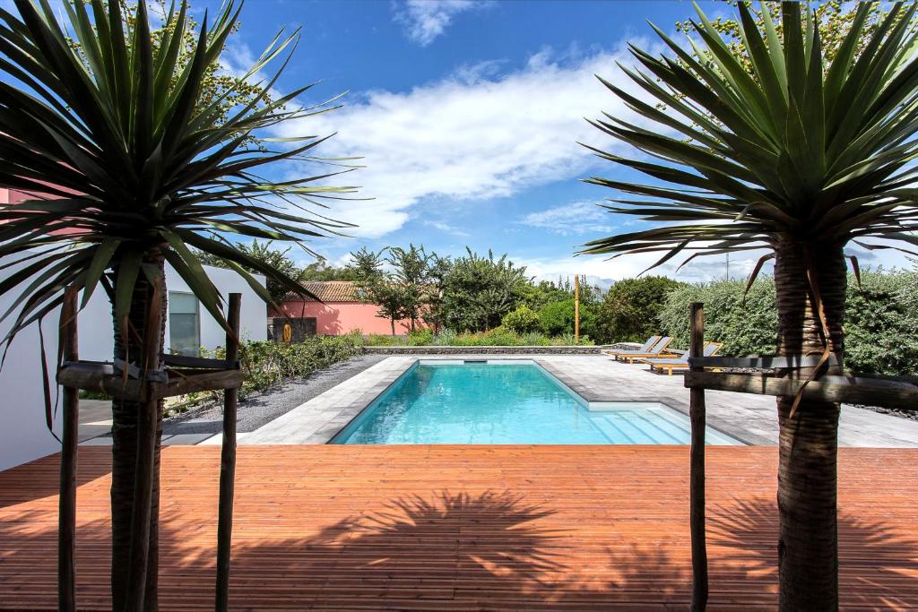 two palm trees in front of a swimming pool at Quinta dos Peixes Falantes in Ribeira Grande