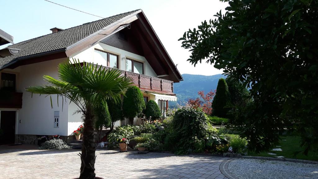 a house with a palm tree in front of it at Apartments Magdalena in Radovljica