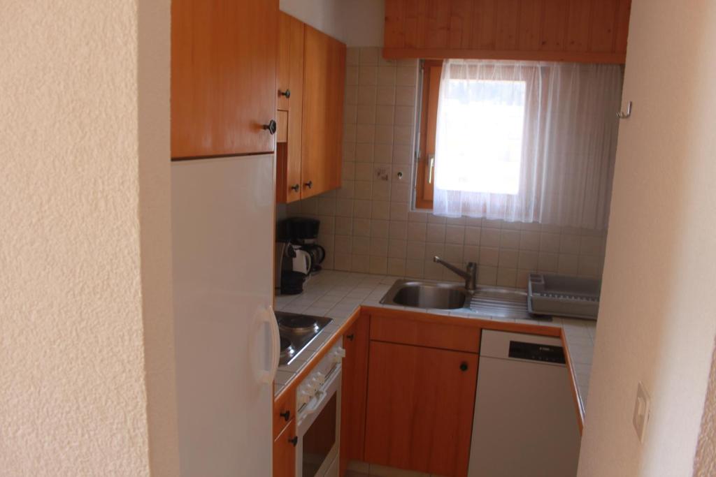 Kuchyň nebo kuchyňský kout v ubytování appartement dans le centre thermal les Sources Ovronnaz