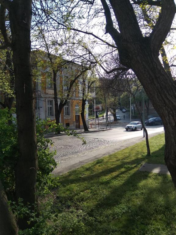 Zahrada ubytování Hostel Ginger House
