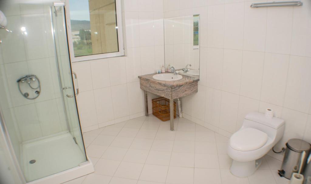Koupelna v ubytování Hotel Feni