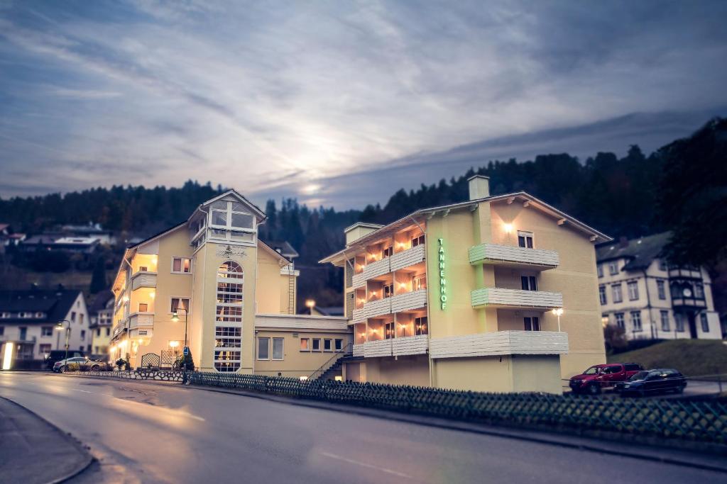 un gran edificio al lado de una calle en Hotel Tannenhof, en Lauterbach