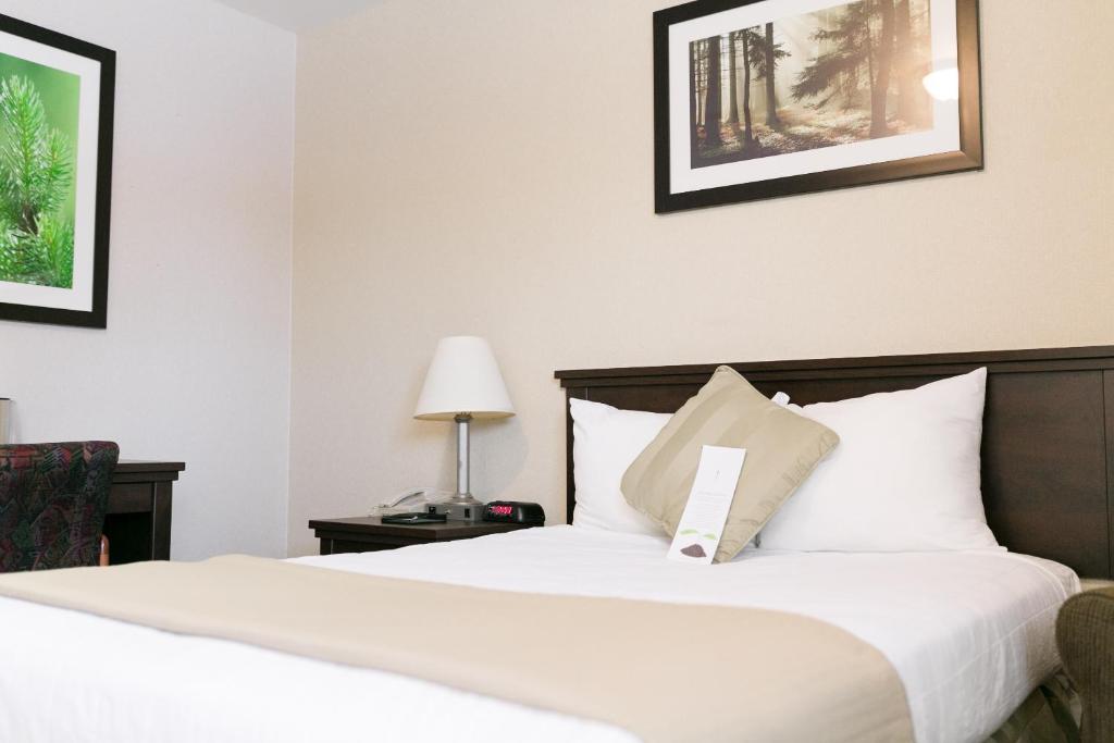 une chambre d'hôtel avec un lit et une chaise dans l'établissement Victoria Inn Flin Flon, à Flin Flon
