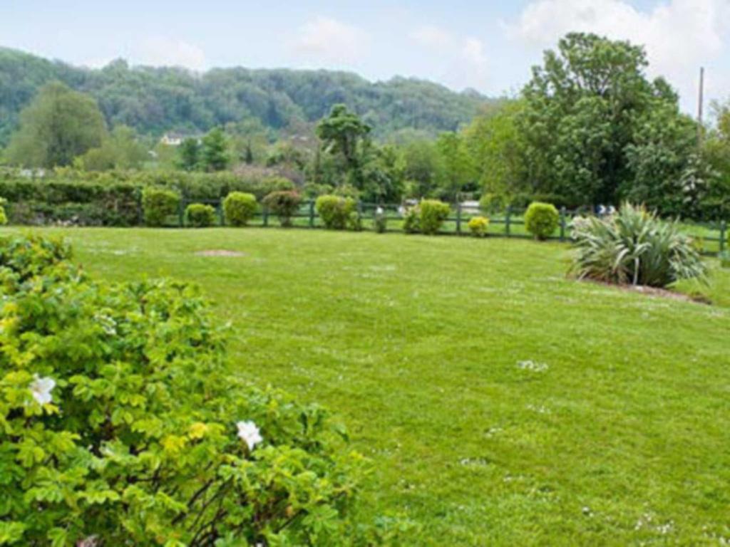 A garden outside Cider Barn 