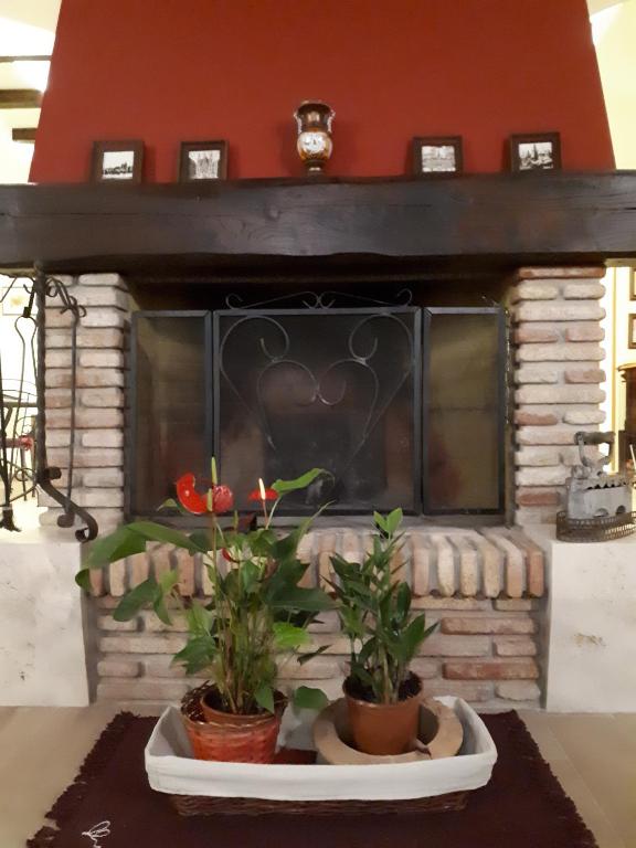 Fotografie z fotogalerie ubytování La Camelia B&B v destinaci Velletri