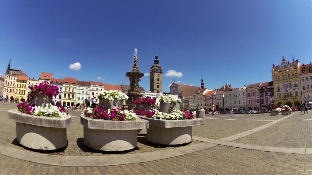 un groupe de pots de fleurs au milieu d'une ville dans l'établissement Pension Miltom, à České Budějovice