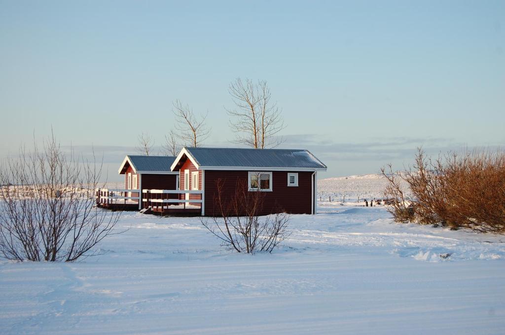 Móar Cottage v zimě