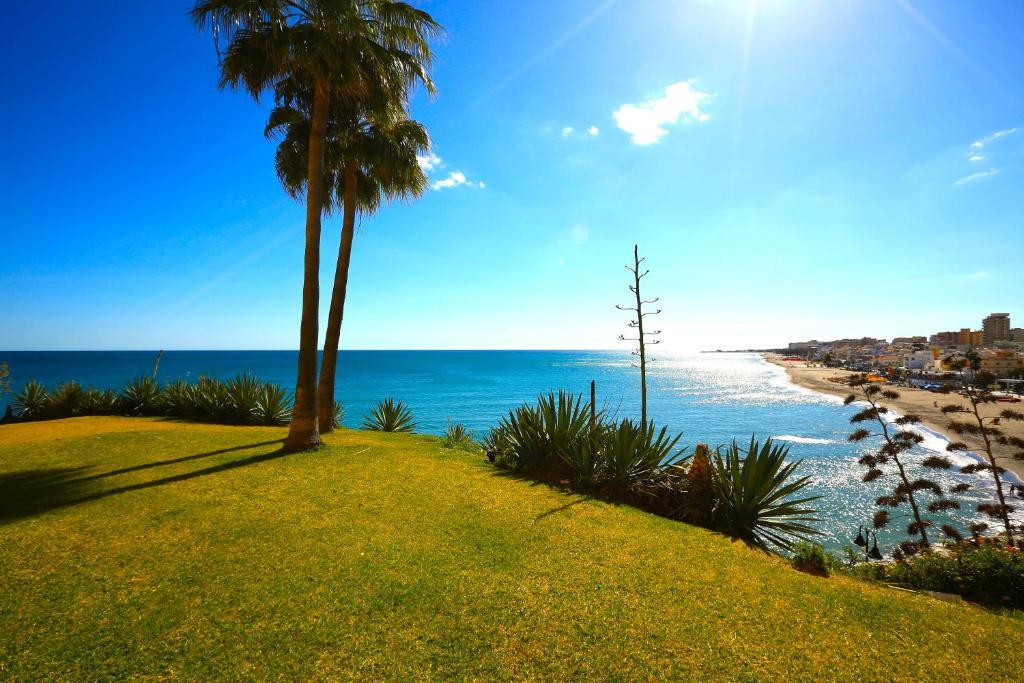 a beach with a palm tree and the ocean at Magical Sea View Studios in Torremolinos